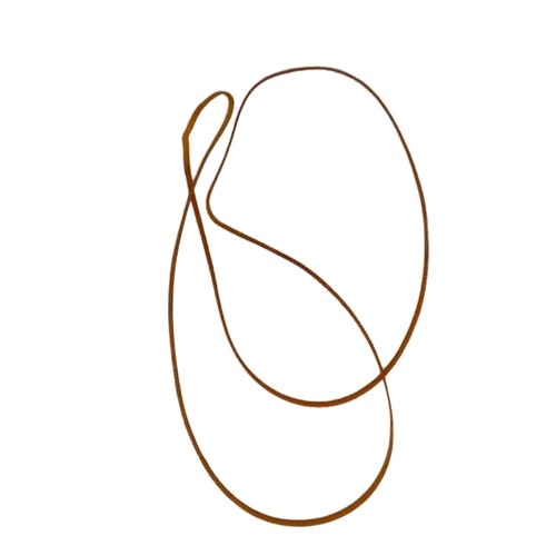 Carriage belt for - , stylus