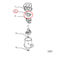 Fiat Chrome IGNITION
