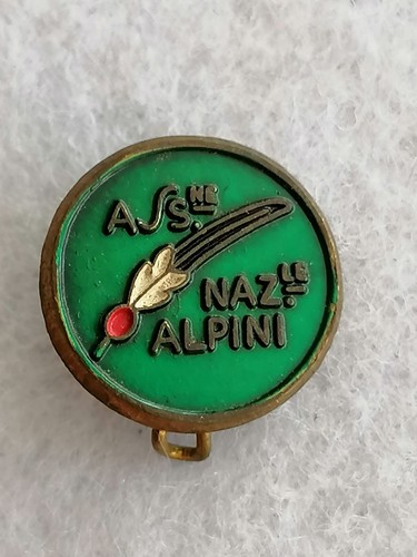 Distintivo pins spilla badge
