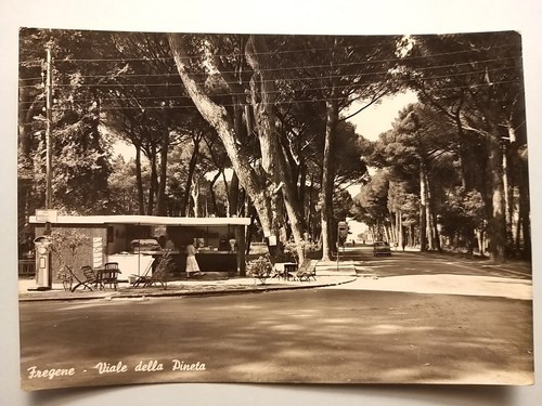 Fregene viale della - fregene,