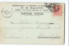 14631 NAPOLI SACCO LABORATORIO