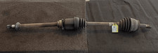 51934087 semialbero ant - 51934087,