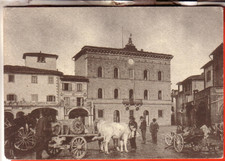 CARTOLINA  GREVE IN CHIANTI OPACA NON VIAGGIATA  PIAZZA CON CARRO E BUOI ANIMATA