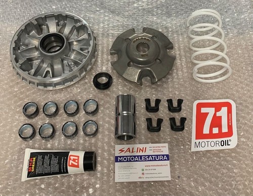 Variatore malossi multivar - variatore,