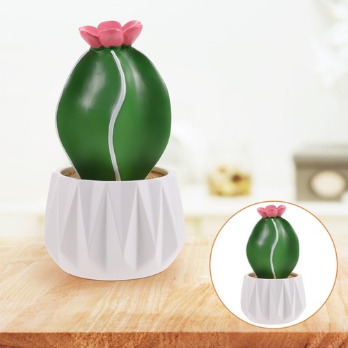 Statuina piccola cactus - ,