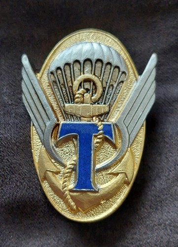 342 eme ctp - eme, insigne