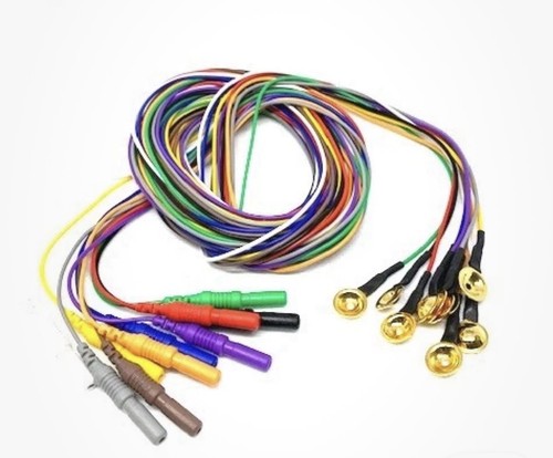 Elettrodi eeg gold - gold, cup