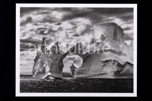 Sebastiao salgado genesis - salgado,