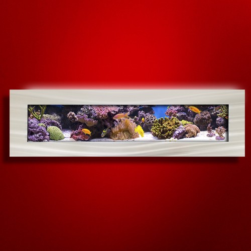 Nuovo acquario aussie - acquario,