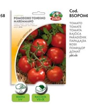 SEMI POMODORO TONDINO