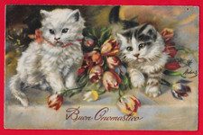 GATTO - GATTI - FIORI TULIPANI - BUON ONOMASTICO