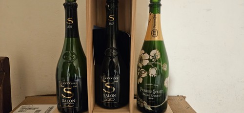 Bottiglie champagne vuote - bottiglie,