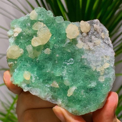 323g rare transparent green - rare,