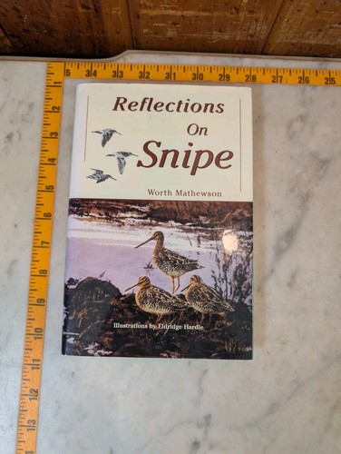 Excellent reflections on - excellent-,