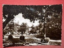 Cartolina - Piombino ( Livorno ) - Piazza Dante - 1952