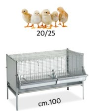 GABBIA antitopo zincata