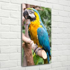 Tulup Acrylic Glass Print Wall