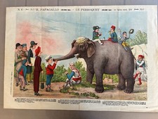 1914 ALBANIE Allégorie de la