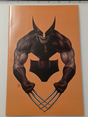 Deadpool wolverine - deadpool/wolverine,