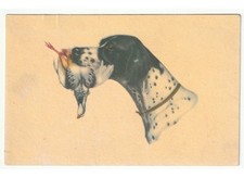 cartolina d'epoca cane da