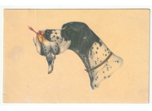 Cartolina epoca cane - cartolina, d'epoca