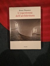 Henry Plummer - L'esperienza