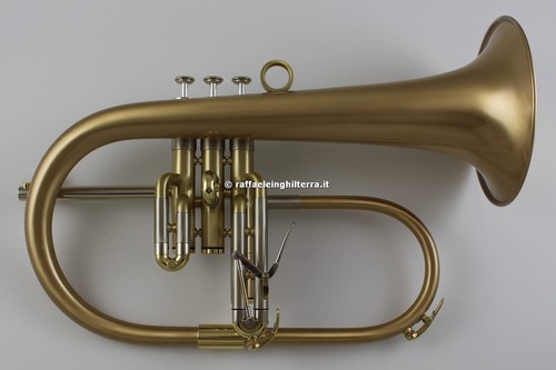 Van laar flicorno - van,