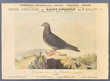 AFICHE poster 65X46cm ATTESTATO CONCORSO COLOMBI FRANCIA SAINT VINCENT  1922  M1