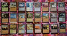 24 TERRE Magic the Gathering da COLLEZIONE - ALTO VALORE MtG