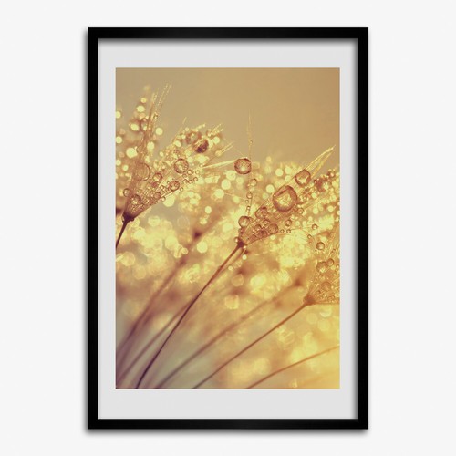 Quadro tulup mdf incorniciato - quadro,