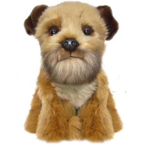 Border terrier peluche - border,