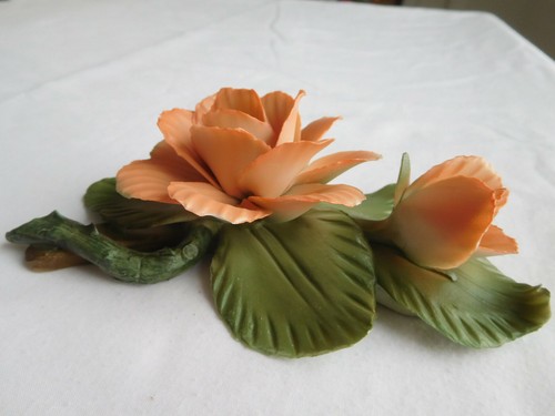 Apricot rose porcelain - rose,
