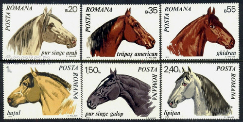 1970 cavallo american - cavallo,,