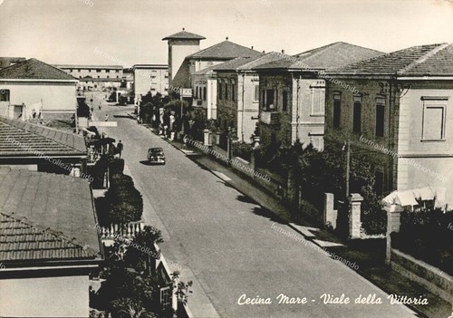 Ea516 cartolina cecina - cartolina,