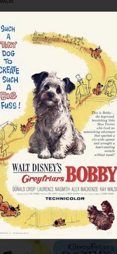 16mm walt disney feature film - walt,