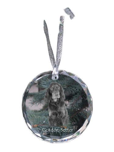 Gordon setter scozzese - setter,,