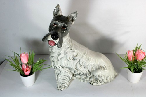 Statua cane schnauzer - , vintage