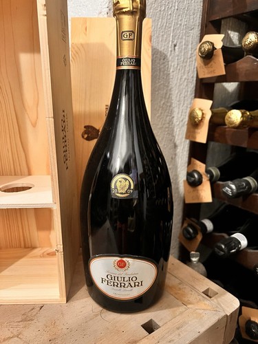 Giulio ferrari magnum 2009 - giulio, in