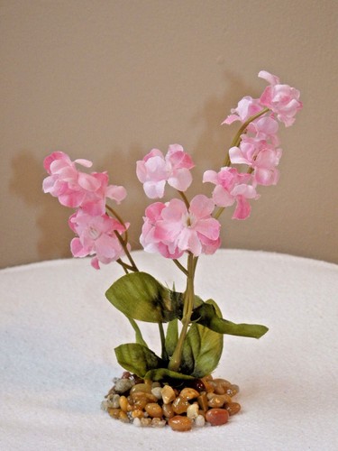 Piccolo bicolore rosa - 5,5",