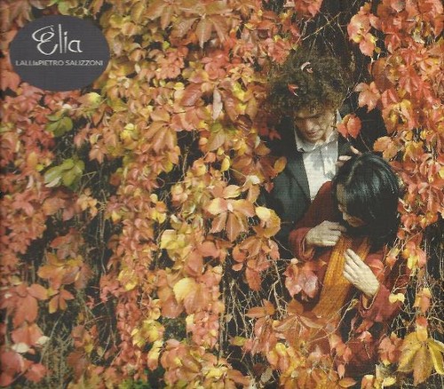 Lalli pietro salizzoni - lalli,