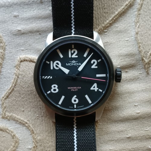 Mondia monoeilica pilot - monoeilica,