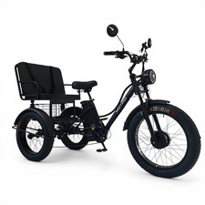 Triciclo elettrico 20/24
