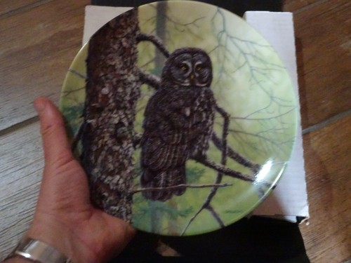 Piatto ceramica artistica - piatto,