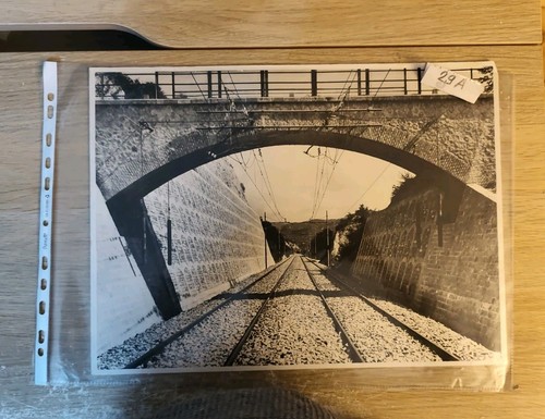 Treni ferrovie fotografia - treni,