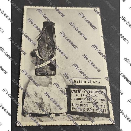 Cartolina rovereto museo - rovereto,