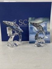 Swarovski 2012 SCS Paikea