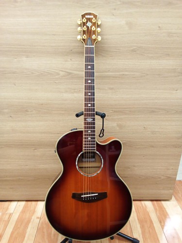 Chitarra elettrica acustica