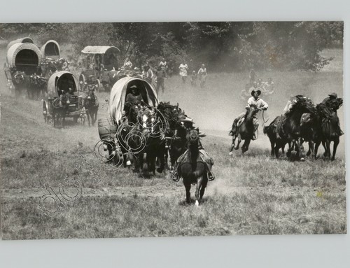 Yeehaw caravan western - yeehaw!,