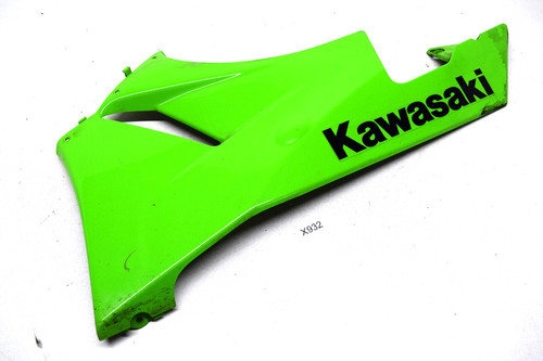 Kawasaki zx6r zx600r bug - kawasaki,
