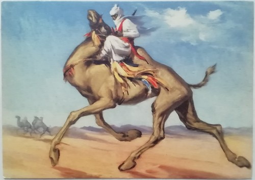 Cartolina cavalleria coloniale - cartolina,